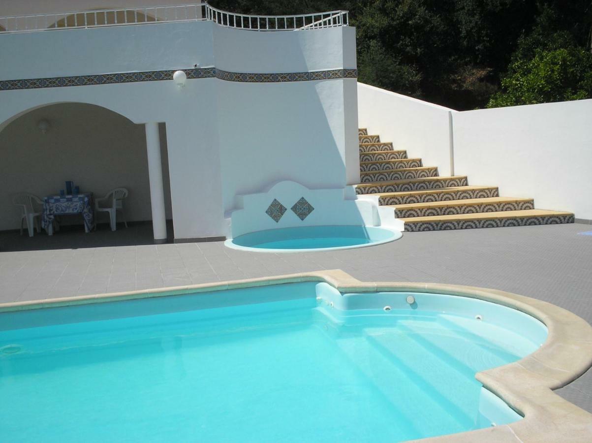 Vivenda Pirilampo Villa Vila Nova de Poiares